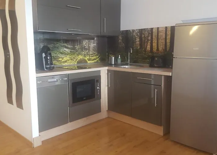 Apartment Mit Extra Schlafzimmer Und Blick In Den Bayrischen Wald Oberhalb Von Sankt Engelmar