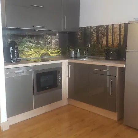 Apartment Mit Extra Schlafzimmer Und Blick In Den Bayrischen Wald Oberhalb Von Sankt Engelmar
